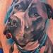 Tattoos - Dog Portrait - 59888